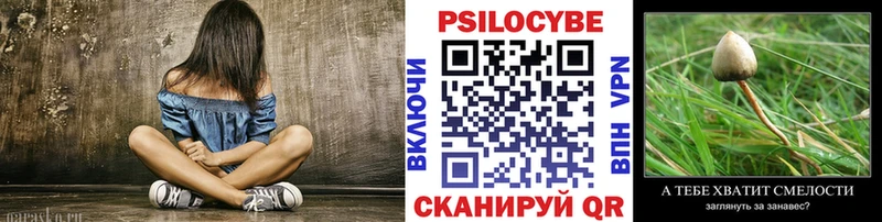 Псилоцибиновые грибы мицелий  Краснотурьинск 