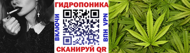 купить наркотики сайты  Краснотурьинск  mega зеркало  Конопля тримм 